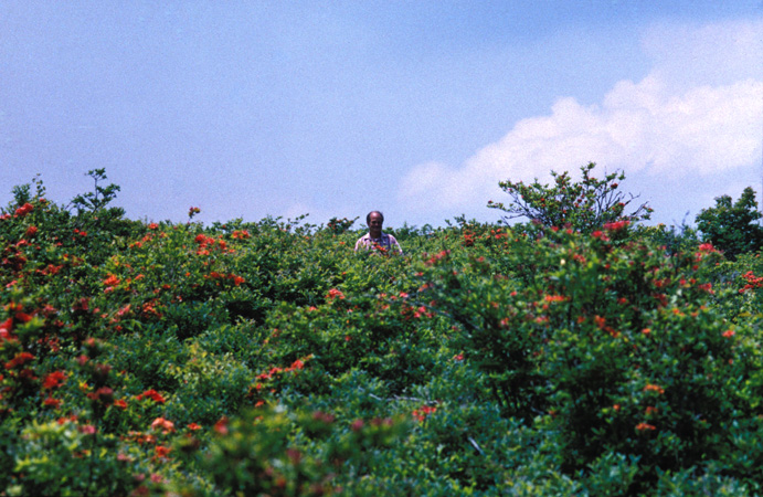 Gregory Bald 2001 (12)