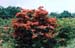 Gregory Bald 2001 (11)