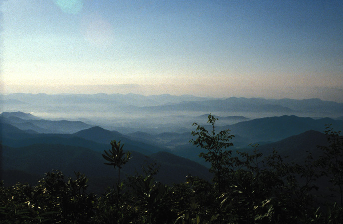Wayah Bald 2002 (1)